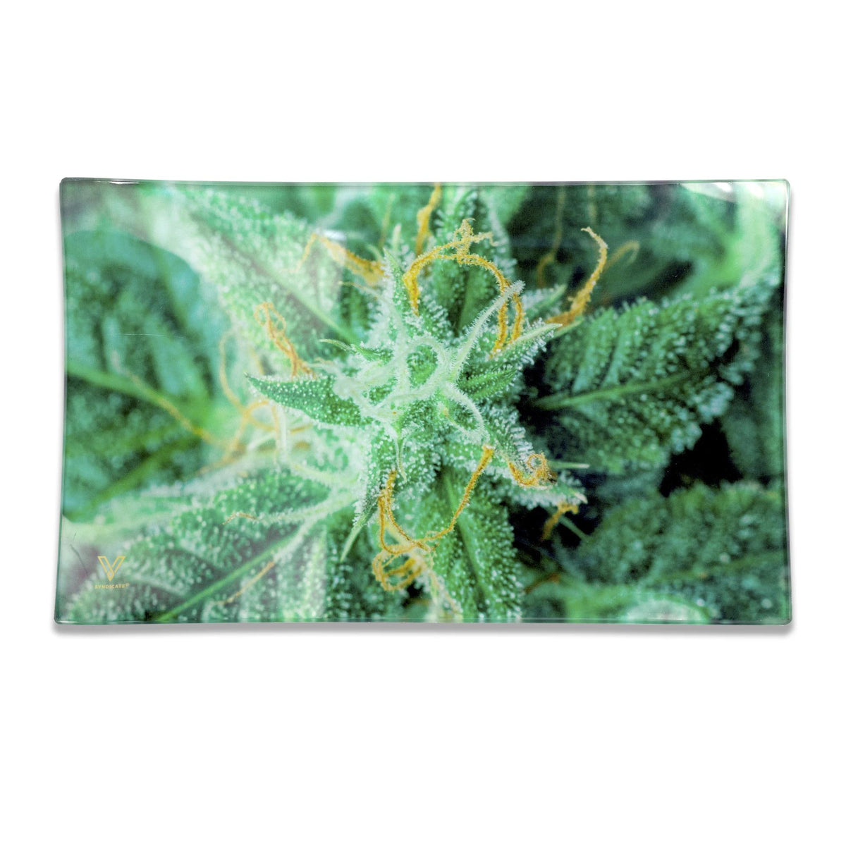 glass rolling tray ak 47 medium v syndicate
