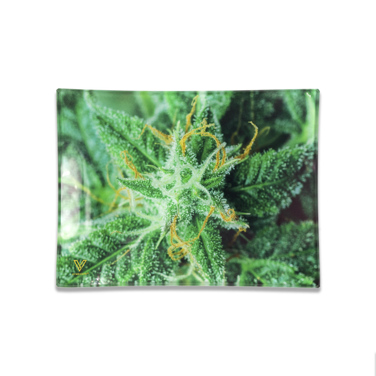 glass rolling tray ak 47 small v syndicate