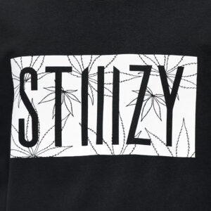 STIIIZY Leaf Logo T-Shirt in Black front view